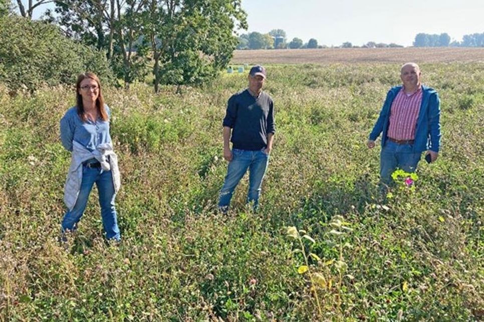 Elke Bögelsack (Ausgleichsmanagerin), Wulf-SophusTheophile (Landwirt), Joachim Siebrecht (Fachdienstleiter Natur und Umwelt), es fehlt Holger Schädlich (Kreisbauernverband)