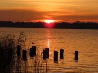 Franziska Clauss hat diese traumhafte Stimmung bei einem Abendspaziergang am Pönitzer See vorgefunden - und für uns fotografiert.
