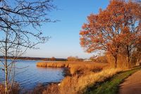 Von Ingrid Staffa kommt ein farbenfroher Fotogruß vom Neustädter Binnenwasser.