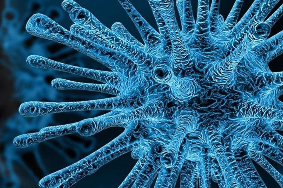 RKI-Präsident zum aktuellen Stand der Corona-Krise am 13. März 2020.