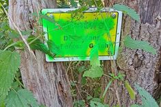 Sinnloser Vandalismus: Die Schilder sind mit grüner Farbe beschmiert.