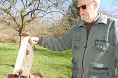 Auf der Obstwiese steht ein Unterschlupf für Insekten und auch die beiden kleinen Fledermäuse kommen hier unter.