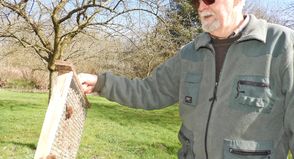 Auf der Obstwiese steht ein Unterschlupf für Insekten und auch die beiden kleinen Fledermäuse kommen hier unter.