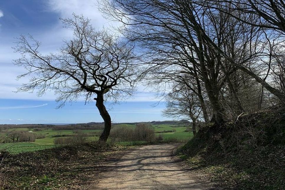 Große Streckenabschnitte dieser Tour verlaufen auf Europäischen Fernwanderwegen.
