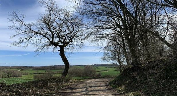 Große Streckenabschnitte dieser Tour verlaufen auf Europäischen Fernwanderwegen.