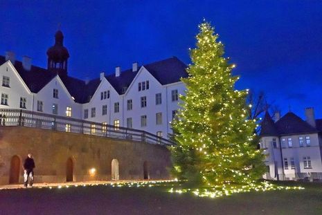 Im Advent erstrahlen die Lichterketten an der „Fielmanntanne“ auf dem Schlossberg und strahlen weit über den Plöner See in die Dunkelheit hinein.
