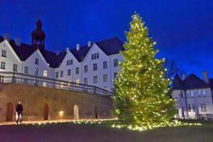 Im Advent erstrahlen die Lichterketten an der „Fielmanntanne“ auf dem Schlossberg und strahlen weit über den Plöner See in die Dunkelheit hinein.