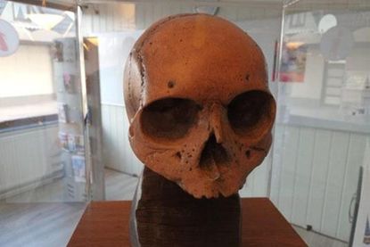 Der Schädel gilt als der älteste bislang gefundene Schädel aus Norddeutschland und Skandinavien.