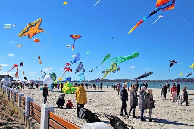 Zahlreiche bunte Drachen locken viele Besucher an den Strand von Laboe.