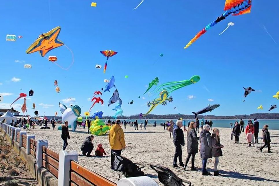 Zahlreiche bunte Drachen locken viele Besucher an den Strand von Laboe.