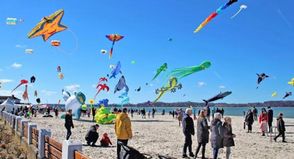 Zahlreiche bunte Drachen locken viele Besucher an den Strand von Laboe.