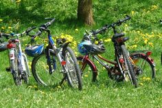 Eine Radtour ist immer eine schöne Abwechslung und man lernt die Region aus einer ganz anderen Perspektive kennen.