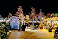 Vom 15. Dezember bis zum 1. Januar findet wieder der „Musikalische Weihnachtsmarkt“ auf dem Timmendorfer Platz statt.