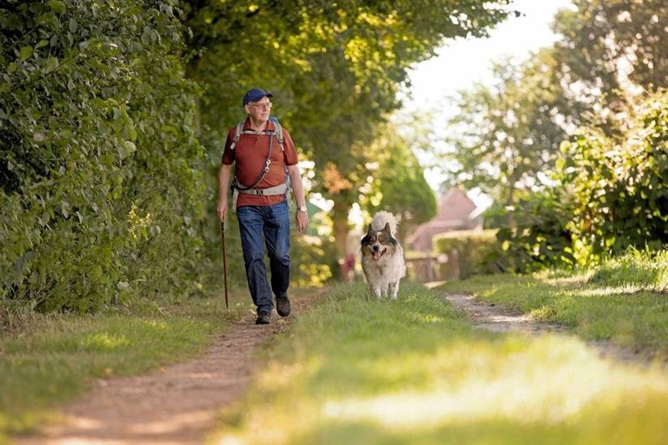 Am Urlaubsort sollte es genügend Möglichkeiten geben, sich mit dem Hund bewegen zu können. Foto: DJD/Agila/Sven Brauers