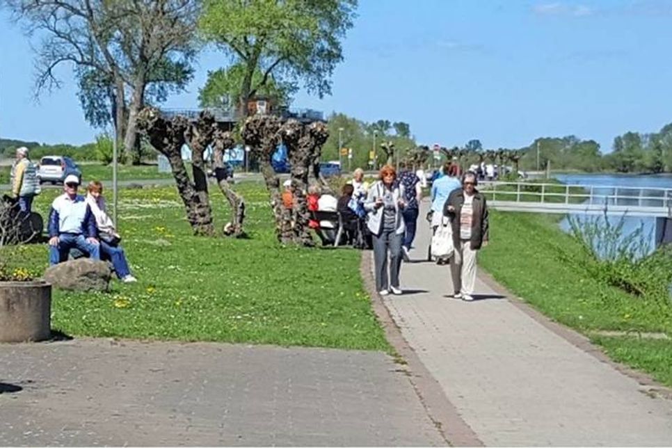 Der Anleger des Fahrgastschiffes in Bleckede.
