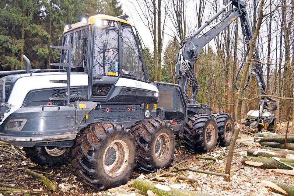Als wären es Streichhölzer pflügt sich der „Harvester“ durch das Waldstück.