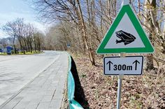 Entlang der Wohldstraße in Timmendorfer Strand wurde auf rund 300 Meter Länge wieder ein Krötenzaun errichtet.