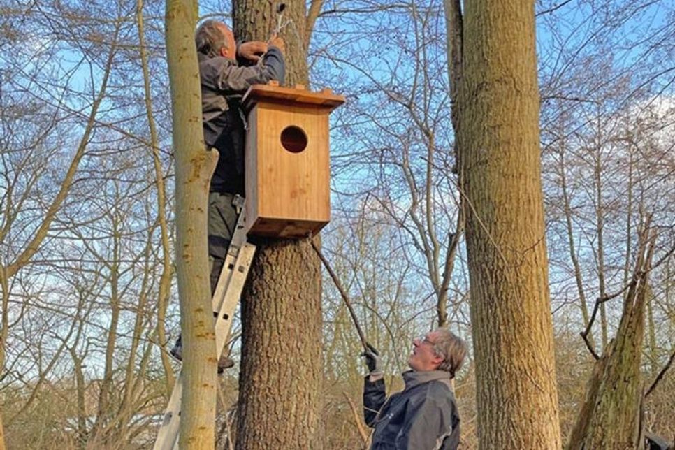 Bei der Anbringung der Nistkästen.