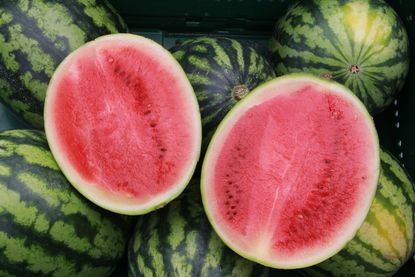 Melonenzeit auf dem Neustädter Wochenmarkt.