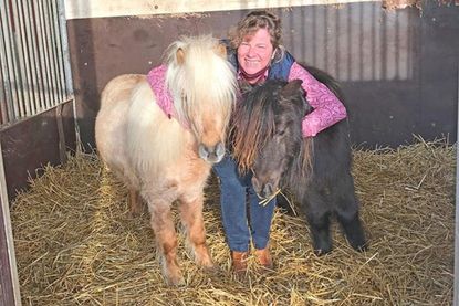 Jackie Meyer zwischen Jappeloup und Smartie. „Ponys sind mein Leben!“