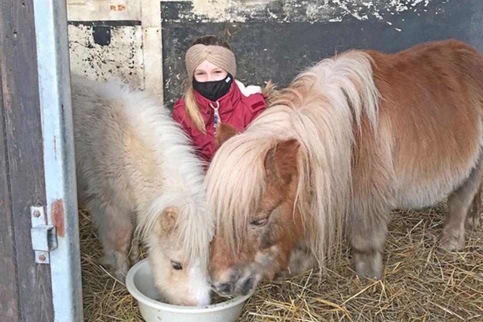 Pferde-Fan Isi kümmert sich jeden Tag um ihre Pflege-Ponys.