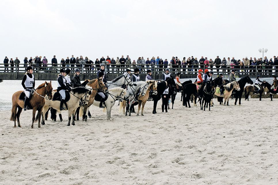 Reitsport, Show und Familienprogramm: Großes Strandderby-Wochenende in Timmendorfer Strand