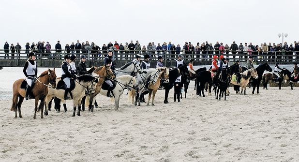 Reitsport, Show und Familienprogramm: Großes Strandderby-Wochenende in Timmendorfer Strand