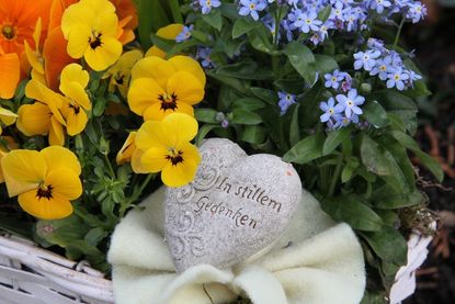 Frühjahrsblüher wie Stiefmütterchen, Hornveilchen oder Vergissmeinnicht setzen bei der Grabgestaltung farbige Akzente.