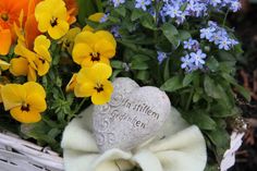 Frühjahrsblüher wie Stiefmütterchen, Hornveilchen oder Vergissmeinnicht setzen bei der Grabgestaltung farbige Akzente.