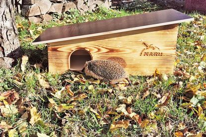 Igelunterschlüpfe werden nicht nur zum Winterschlaf, sondern auch im Sommer genutzt.