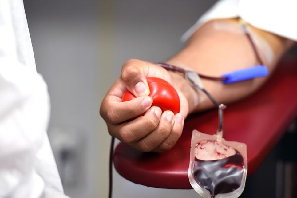 Da die aus dem Vollblut gewonnenen Präparate nur eine kurze Haltbarkeit von teilweise wenigen Tagen haben, ist das kontinuierliche Engagement von Blutspenderinnen und -spendern für viele Patienten lebenswichtig.