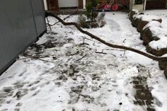 Die derzeitige Wetterlage birgt viele Risiken für die fleißigen Fahrer und Verteiler unseres Familienwochenblattes. Der Gang zum Briefkasten wird erschwert durch nicht geräumte und unbeleuchtete Wege. Darum bitten wir Sie, als treue Leser, den Zugangsweg frei zu halten und zu beleuchten. Damit sorgen Sie für die Sicherheit unseres Teams und eine reibungslose Zustellung. Vielen Dank sagt das „reporter“-Team