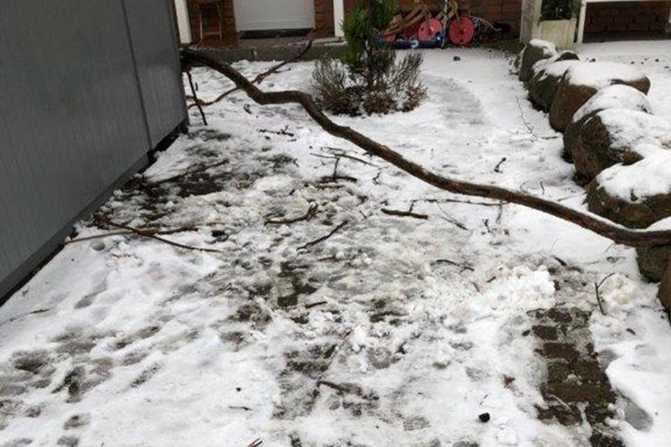 Die derzeitige Wetterlage birgt viele Risiken für die fleißigen Fahrer und Verteiler unseres Familienwochenblattes. Der Gang zum Briefkasten wird erschwert durch nicht geräumte und unbeleuchtete Wege. Darum bitten wir Sie, als treue Leser, den Zugangsweg frei zu halten und zu beleuchten. Damit sorgen Sie für die Sicherheit unseres Teams und eine reibungslose Zustellung. Vielen Dank sagt das „reporter“-Team