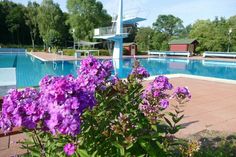 Das Waldschwimmbad in Lensahn hat ab Freitag täglich um 10 Uhr geöffnet.