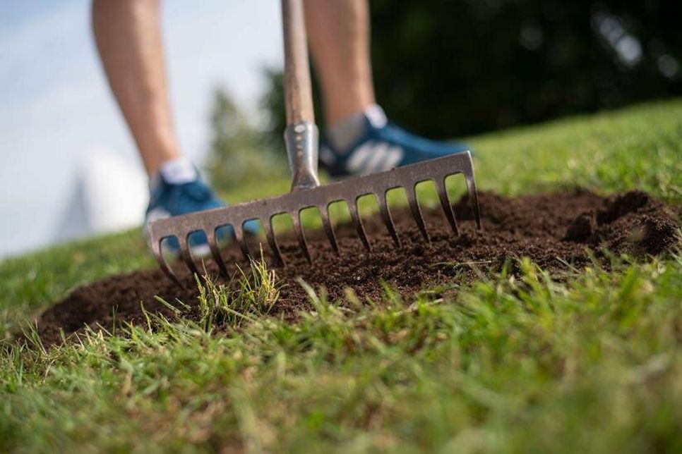Bei Bedarf vertikutieren, Kahlstellen nachsäen und richtig düngen: So kommt der Rasen zur neuen Gartensaison wieder in Form. Foto: DJD/Floragard
