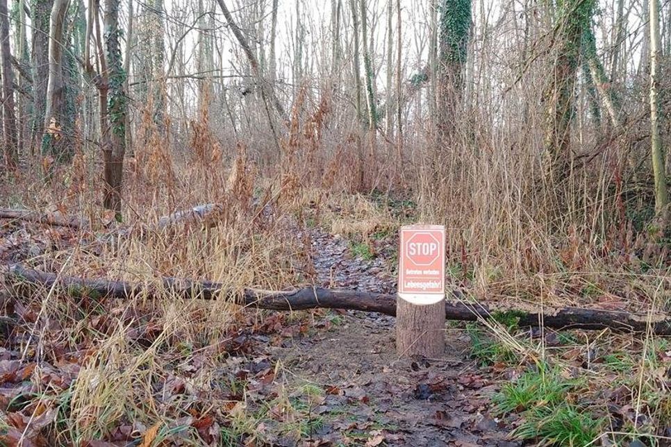 Das Betreten des Burgwaldes ist bis auf Weiteres verboten.