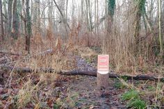 Das Betreten des Burgwaldes ist bis auf Weiteres verboten.