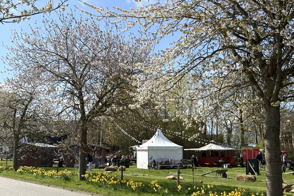 Zwischen blühenden Kirschbäumen lud die Veranstaltung zum Verweilen, Genießen und Entdecken ein.