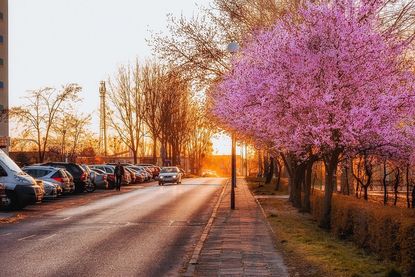 Die Frühling steht vor der Tür – Zeit, das Auto auf die wärmeren Temperaturen vorzubereiten.