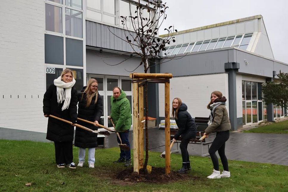 Auch der Kreis Ostholstein unterstützt das Wurzeln schlagen in Ostholstein, hier der Landrat bei der jährlichen Baumpflanzaktion mit einigen Nachwuchskräften.