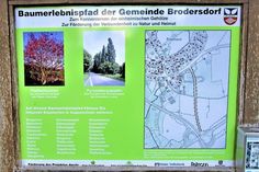 Die großen Hinweistafeln jeweils am Eingang des Baumerlebnispfades.