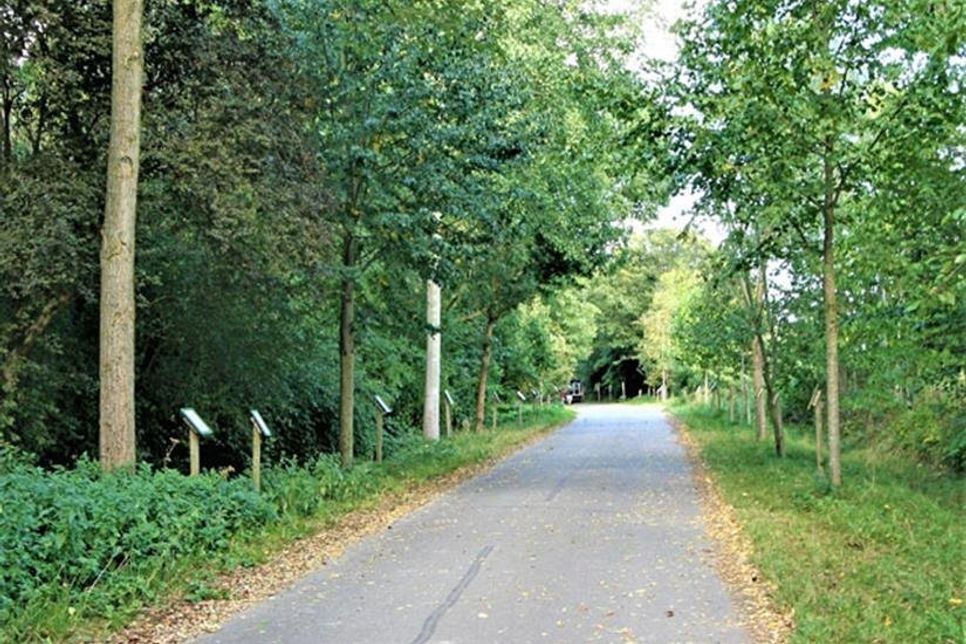 Der Baumerlebnispfad in Dobersdorf.