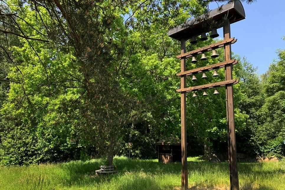 Am Schwentineplatz gibt es Infotafeln, lauschige Sitzgelegenheiten, eine Blühwiese und ein Glockenspiel.
