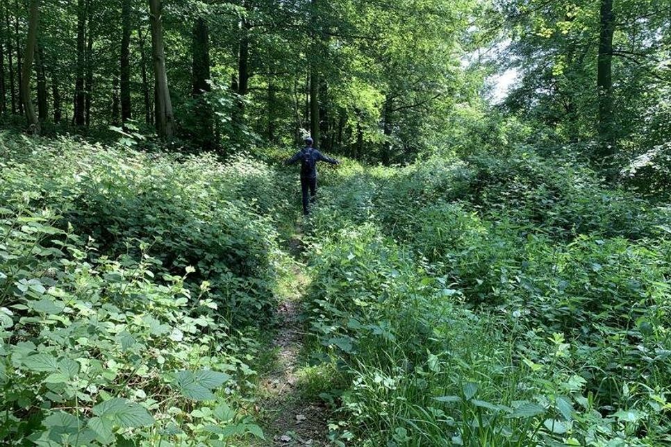 Auf teilweise sehr schmalen Pfaden geht es durch den Wald.