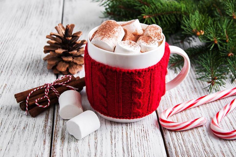 Cremige heiße Schokolade ist der Inbegriff von Gemütlichkeit. Besonders lecker wird sie mit einer Prise Zimt oder Chili und einem Topping aus geschmolzenen Marshmallows.