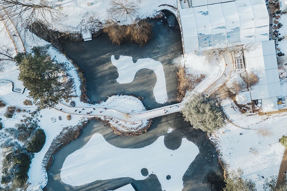 Die Eiswelt Scharbeutz mit Ostsee und Schnee 2025.
