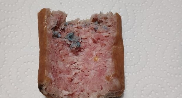 Sichergestellter Giftköder.