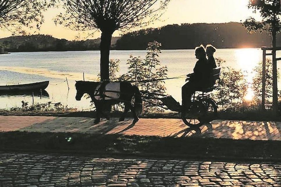 Lisa Wieckhorst schickte uns dieses Foto, dass Bettina Mihailiuk von dem Pony und dem Gig der Einsenderin machte.
