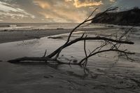 Peter Pape hat seinem stimmungsvollen Foto den Titel „Schönheit nach dem Sturm“ gegeben. Aufgenommen wurde es am Grömitzer Yachthafen mit Blick auf die Brodauer Steilküste.