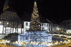 Alle Jahre wieder legt die Stadt Eutin in der letzten Novemberwoche ein adventliches Lichterkleid an und Jung und Alt stimmen sich auf festlich-fröhliche Wochen ein. Am Montagnachmittag gingen an den Weihnachtsbäumen und über den Straßen im Zentrum die Lämpchen an und auch wenn es diesmal ein bisschen stiller sein wird: Weihnachten kommt und Augen werden strahlen